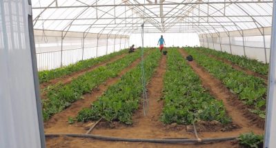 PHOTO-2022-09-05-10-43-27